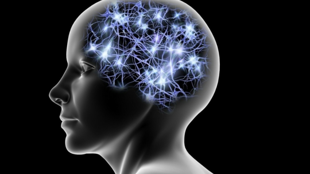 揭秘！这8种氨基酸竟是人体的“生命密码”！