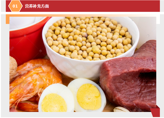 职场人健康新搭档：后生元蛋白奶昔