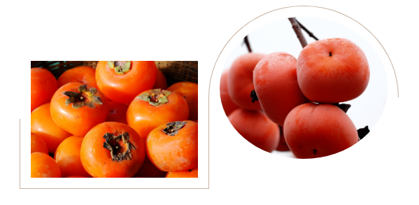 微信图片_20241024113042