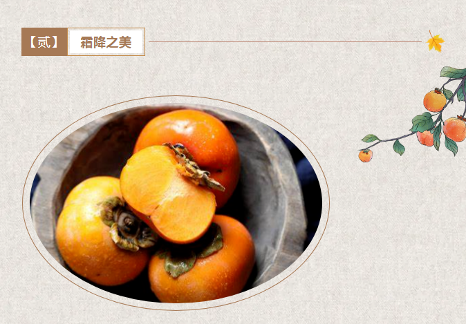 微信图片_20241024112907