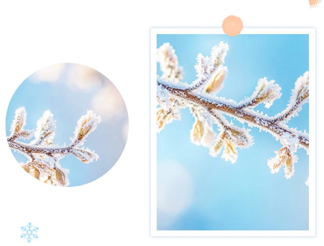 微信图片_20241125131951