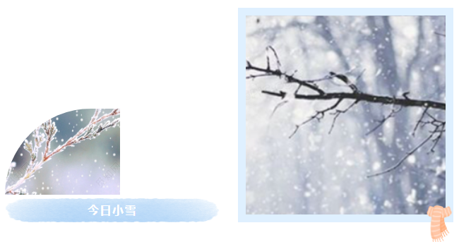 微信图片_20241125132135