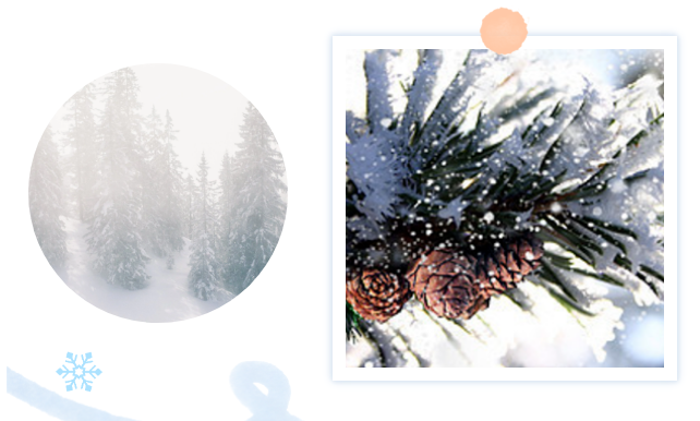 微信图片_20241125132158