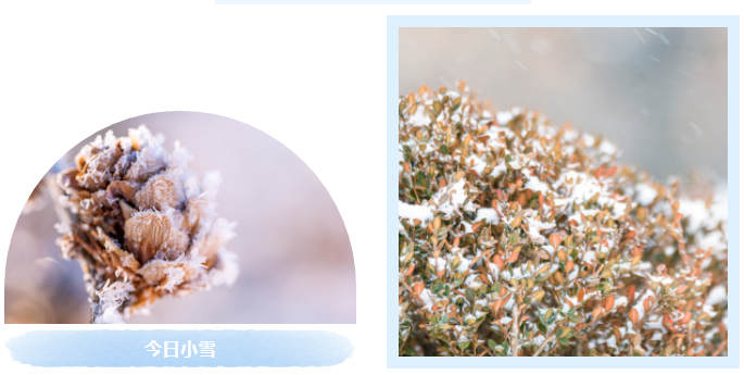 微信图片_20241125132451